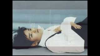 Watch Tanita Tikaram Bloodlines video