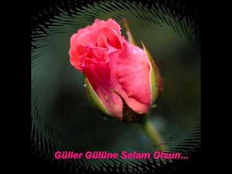 Розы скачать mp3