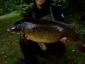 selbs common carp  video