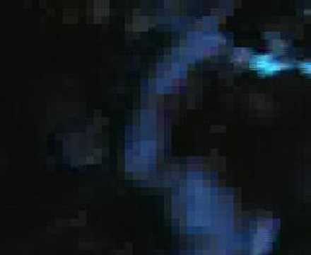 D.O.D. 2006/2007