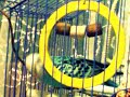 обижаю,ну просто странно как-то вел 