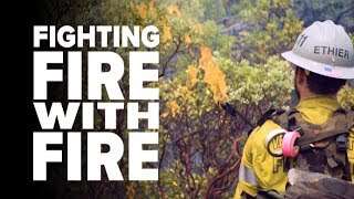 Inside The Fight Against Californias Largest Wildfire A Short Doentary