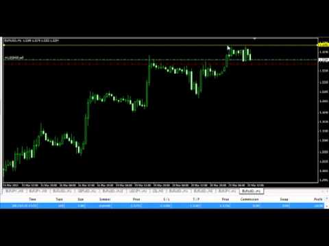 Zwinner forex system
