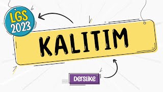 Kalıtım Lgs 2023