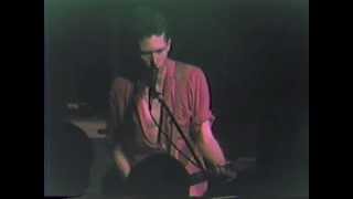 Watch Feelies The Good Earth video