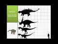 size comparison