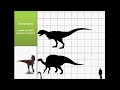 size comparison