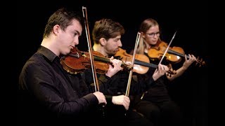 Divertimento in F (part 1) - Mozart - Ataneres Ensemble