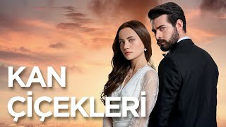 Yeni Dizi Kan Çiçekleri Yakında Kanal 7'de!