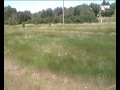 Video Участок земли в курортной зоне Очаков 2000$.