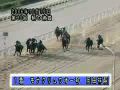 福山競馬開設60周年記念重賞メモリアル パート1