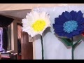 Flores Gigantes - Citytv