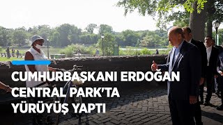 Cumhurbaşkanı Erdoğan'ı Central Park'ta gören bir kişi Ukrayna konusunda teşekkü
