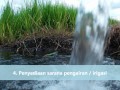 image Bagaimana Cara Menanam Padi How Is Rice Grown Indonesian Version
