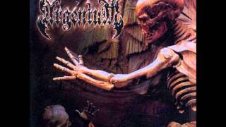 Watch Argentum Nocternarum video