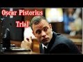 Oscar Pistorius Trial: Monday 30 June 2014, Session 3