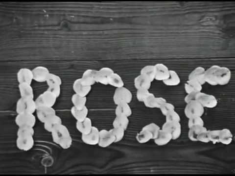 Elsa la rose (Agnès Varda. 1965) + subt. esp/eng.