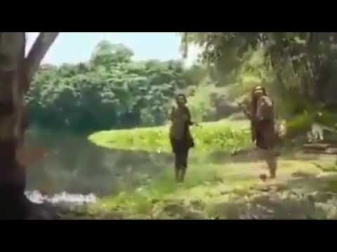 Magar much ka hamla