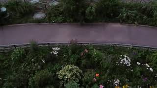 Видео Полчище крыс во дворе дома по ул.Маршала Савицкого 16 г.Москвы. от Виктория Гусева, улица маршала Савицкого, Москва, Россия
