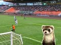 Fantastico !!!Confira os gols deste domingo pelo fantastico 01/12/2013