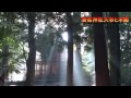 スサノオのパワースポット須佐神社の大杉 