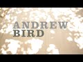 Andrew Bird - Things Are Really Great Here, Sort Of... Coming 6/3/14