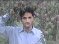 Download new song 2011 da me tol qasur da yar de MP3 song and Music Video