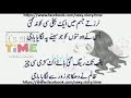 Suhag Raat Ki Kahani images Suhag Raat Ki Kahani
