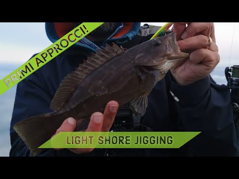 CERNIA a Light Shore Jigging - primi approcci primi pesci - clipangler
