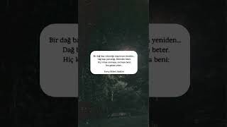 Sen Gelsen Yeter..