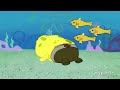 SCIENTIFICALLY ACCURATE ™: SPONGEBOB SQUAREPANTS