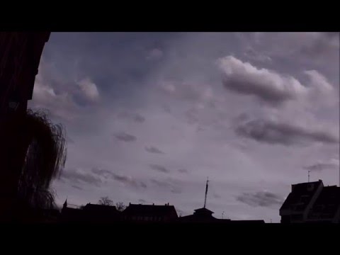 He Had a Good Time Video