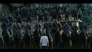 Dawn of the Planet of apes : apes do not want war full HD