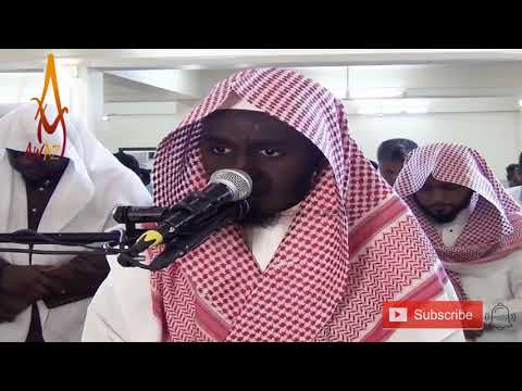 Quran Recitation Really Beautiful Amazing | Soft Quran Recitation by Sheikh Talal Al Hassan || AWAZ