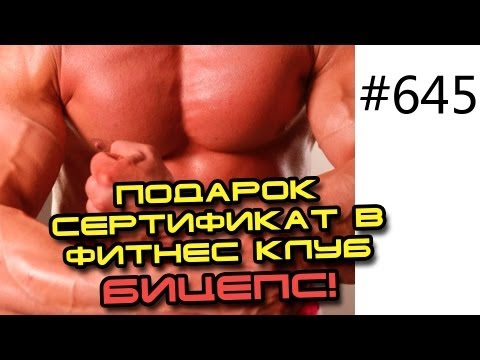 Архив 645. Подарок - сертификат в фитнес клуб Бицепс.