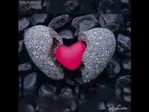 rang pakka-roshan prince