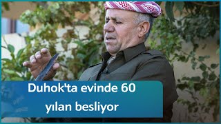 Duhokta Evinde 60 Yılan Besliyor