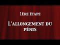 agrandissement penis