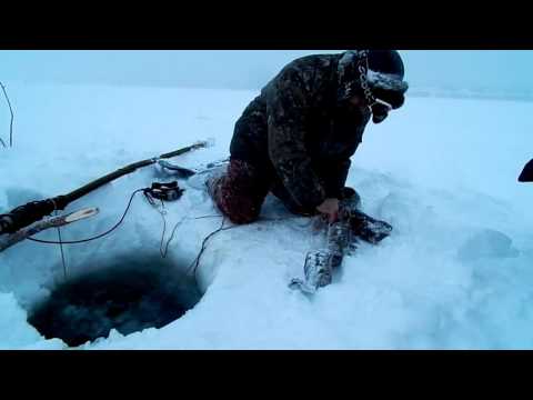 за налимом на енисее видео за налимом на енисее видео
