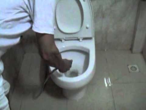 Spider On Toilet