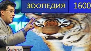 ▼Купил Зоопарк За 1600 Рублей В Steam