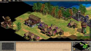 Age of Empires II - Campaña Juana de Arco "Un improbable Mesías"