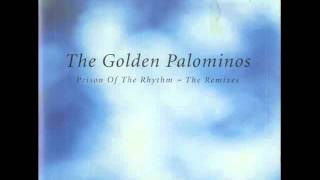 Watch Golden Palominos Prison Of The Rhythm video