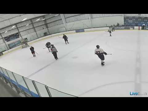 Game 1 Video