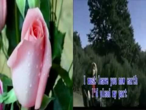 【妍震東希】- Rose Rose I Love You (Frankie Laine)
