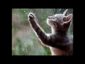 It´s Always Raining on Pandora - by Luis Daniel