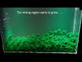 Mixing Physics Science Experiment