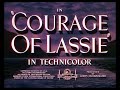 Online Movie Courage of Lassie (1946) Free Online Movie