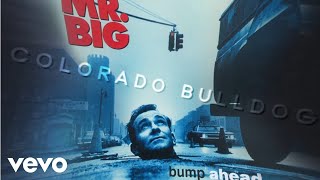 Watch Mr Big Colorado Bulldog video