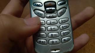 Samsung Sgh R225 - Review